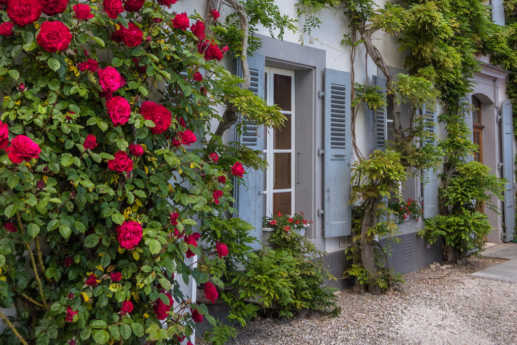Chateau De Bossey Bogis-Bossey Buitenkant foto