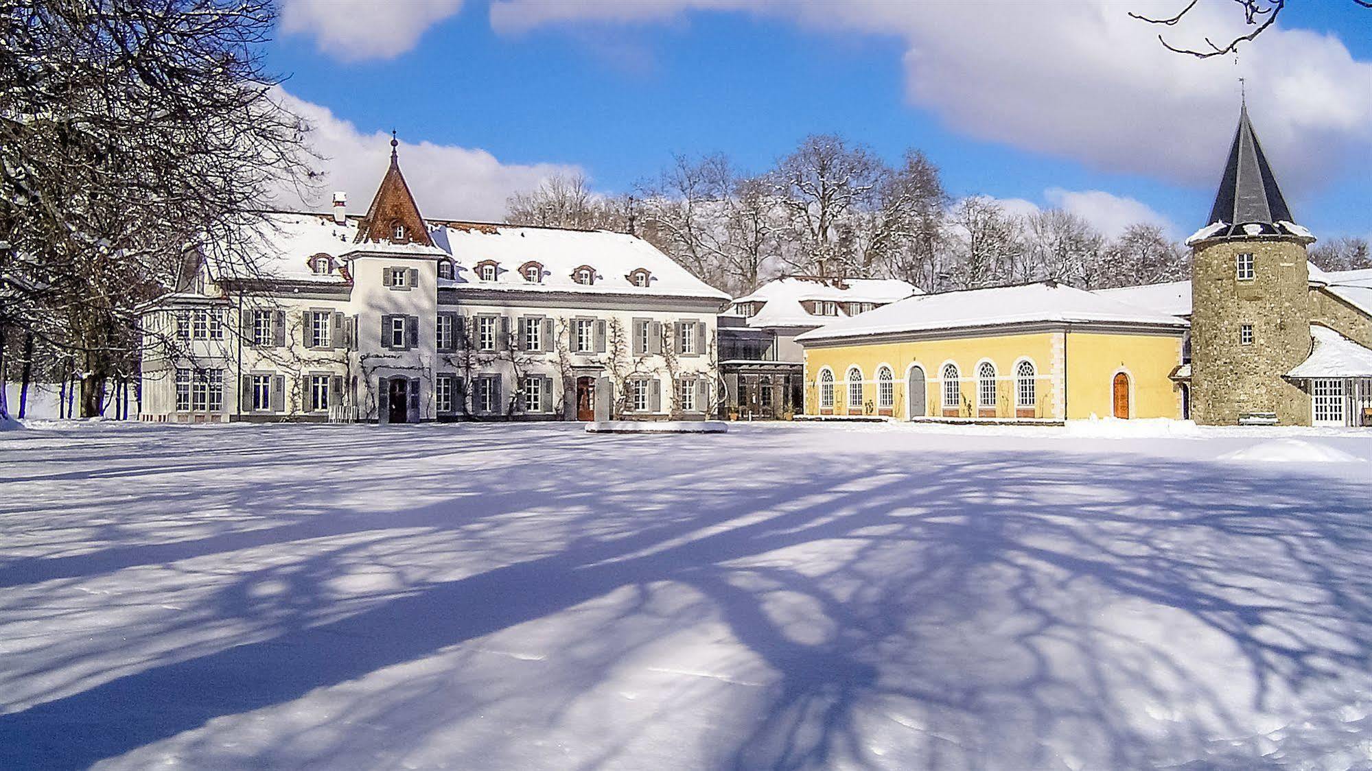 Chateau De Bossey Bogis-Bossey Buitenkant foto